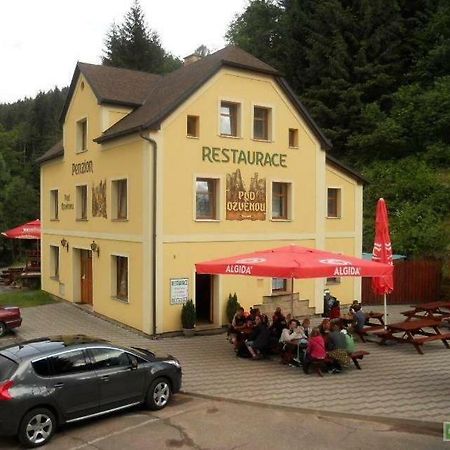Penzion Pod Ozvenou Teplice nad Metuji Exterior photo
